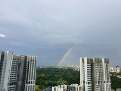 Commonwealth Towers (D3), Condominium #451126571